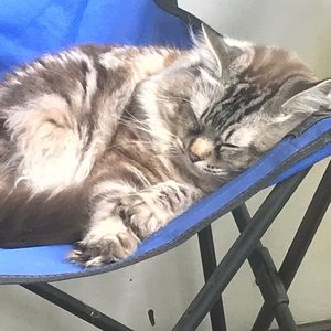 Meet your Posher, Donna